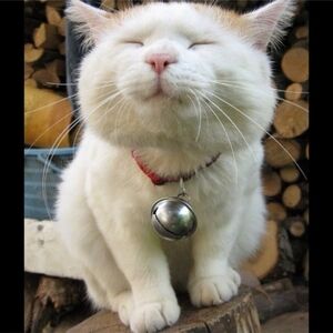 Meet your posher, onespotseller